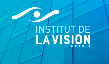 Web TV de l’Institut de la Vision
